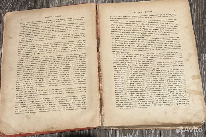 Живописная Россия том 12