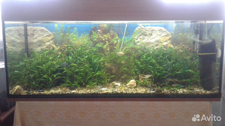 Аквариум на 160 литров