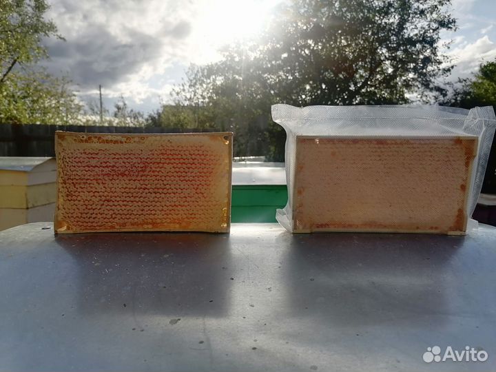 Сотовый мёд