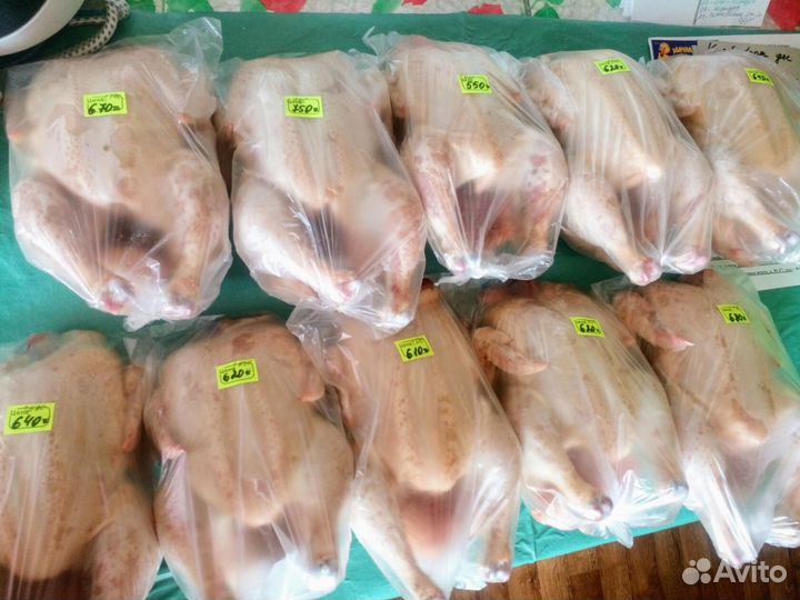 Домашние бройлеры