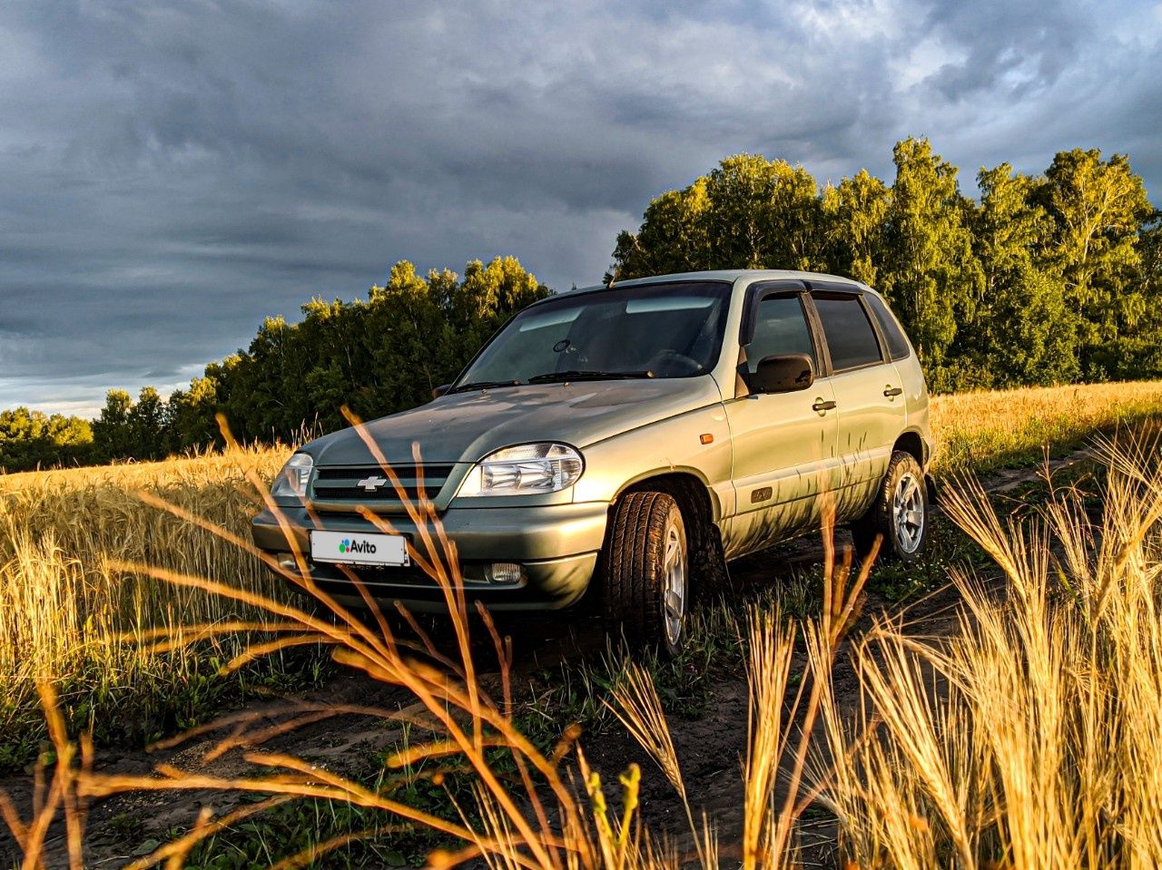 Chevrolet Niva: фото владельца
