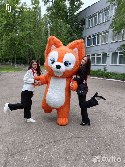 Поздравления от Лисички Белка Праздники мирприятии