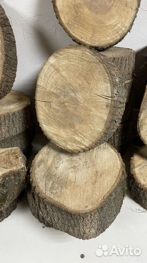 Спилы дерева