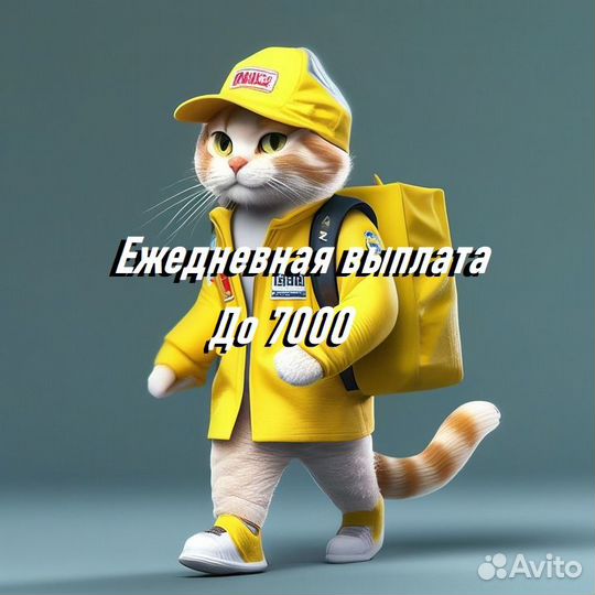 Подработка курьер ежедневные выплаты