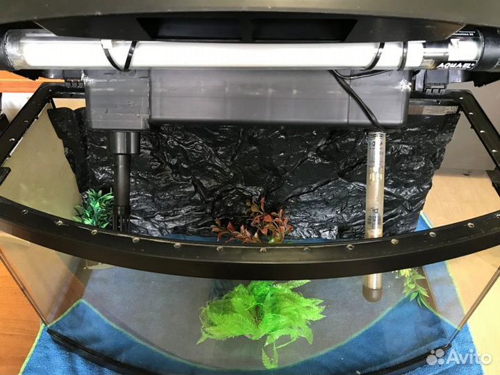 Аквариум