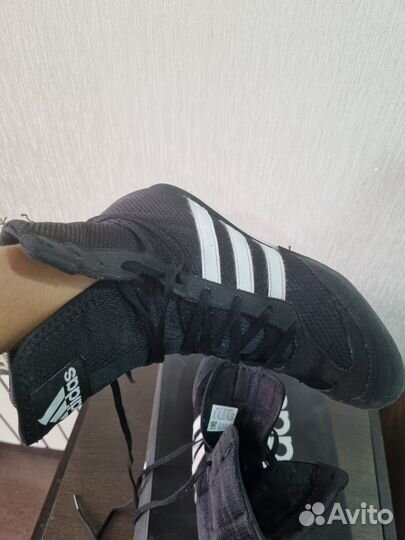 Боксерки adidas box hog 2