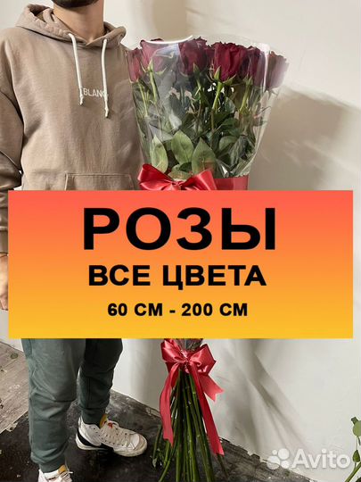 Черные розы, синие, радужные, 101 роза