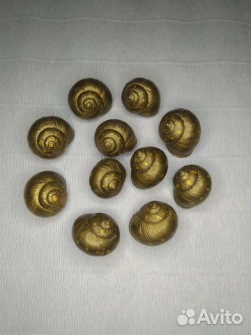 Раковины виноградной улитки