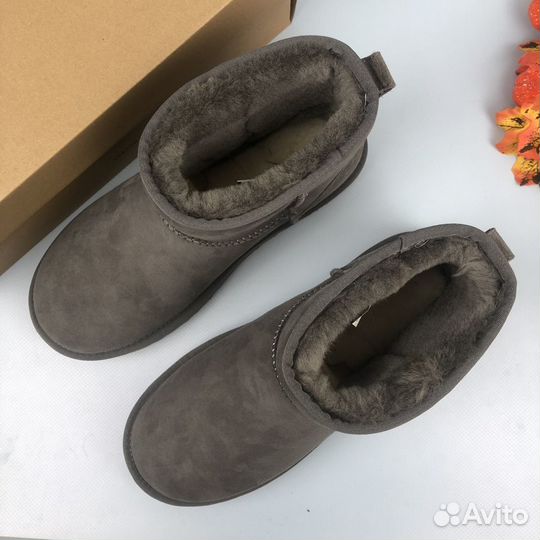 Угги женские Ugg Classic Mini II Grey