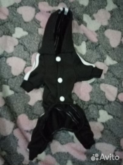 Одежда для собак