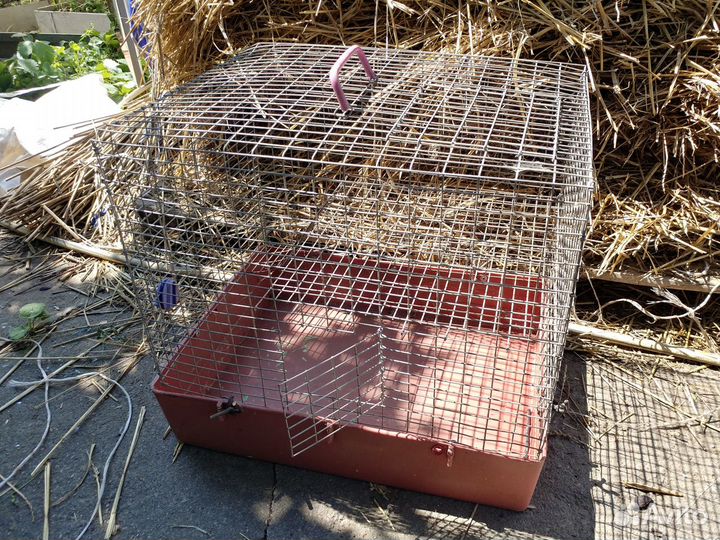 Клетки для животных