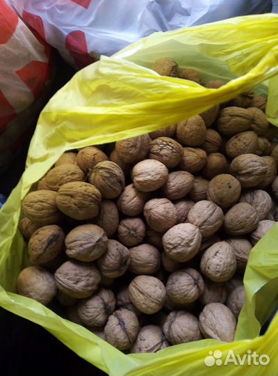Продам грецкий орех в скорлупе