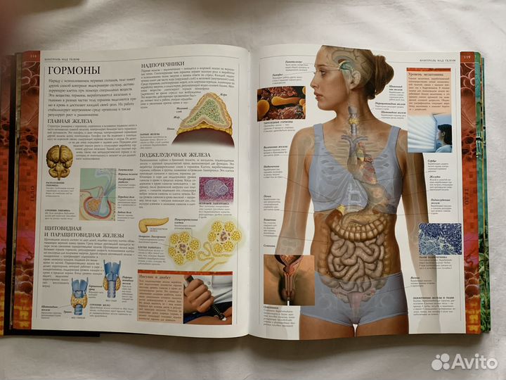 Человек книга Роберта Уинстона