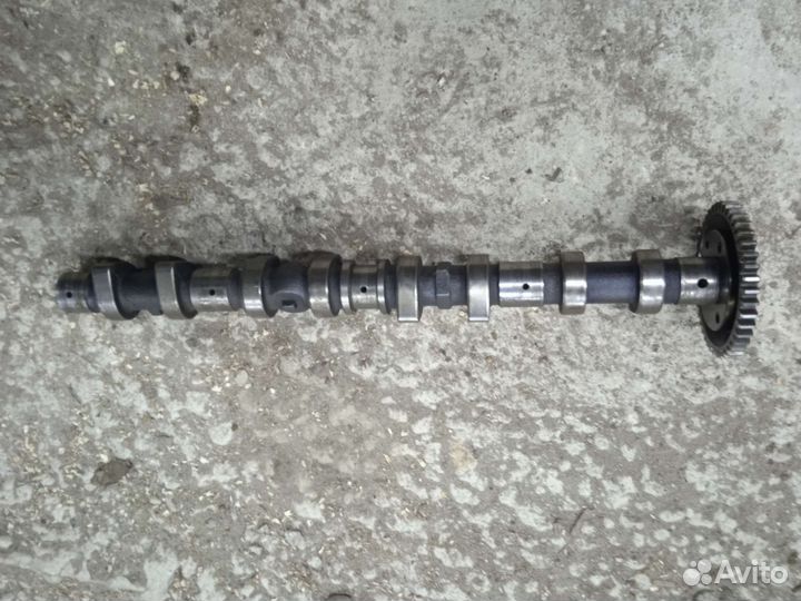 Мерседес om646 OM611 распредвал впуск выпуск