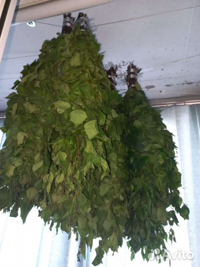 Полынь в пучках