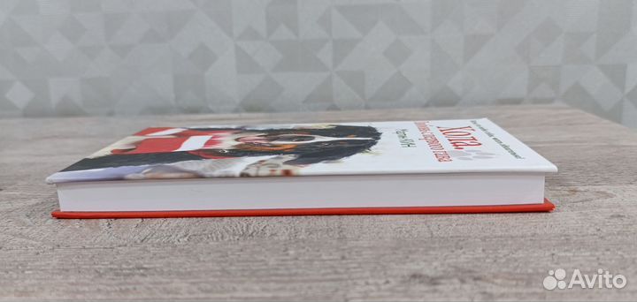 Кин Мартин Хола. Любовь с первого гава