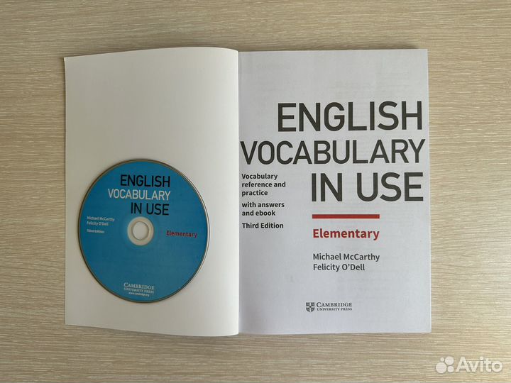 English vocabulary in use