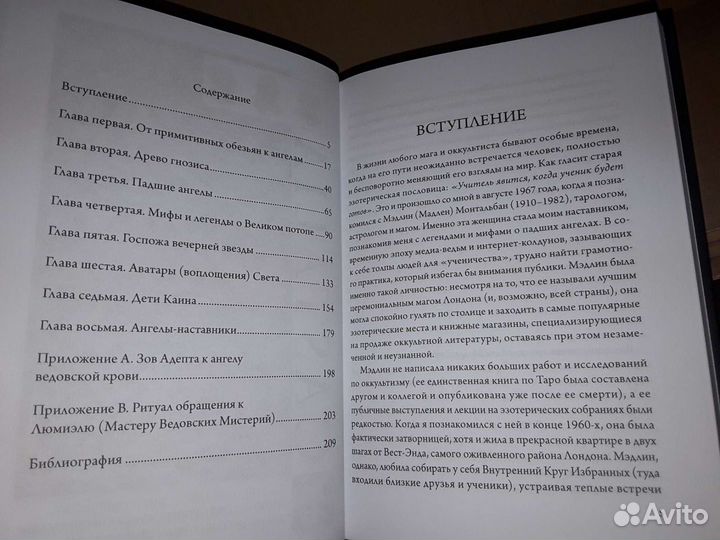 Говард М. Книга Падших Ангелов