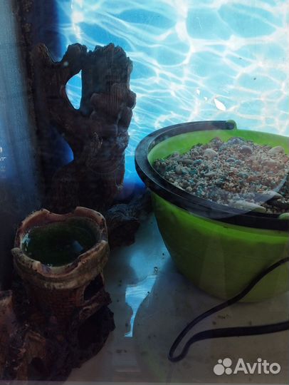 Продам аквариум