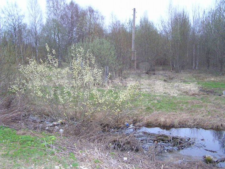 Участок 15 сот. (ИЖС)