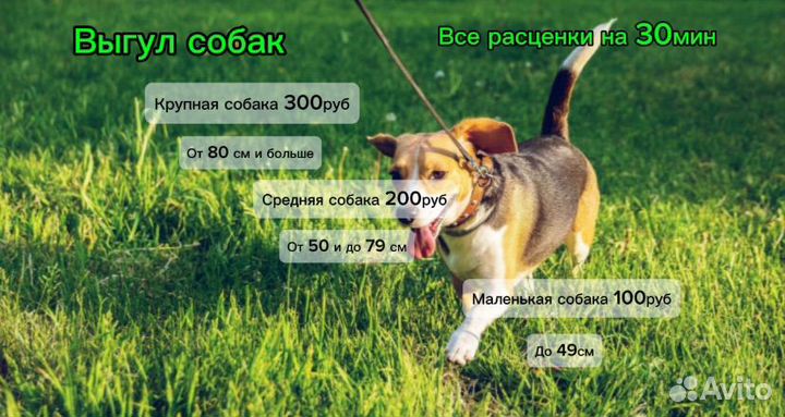 Выгул собак