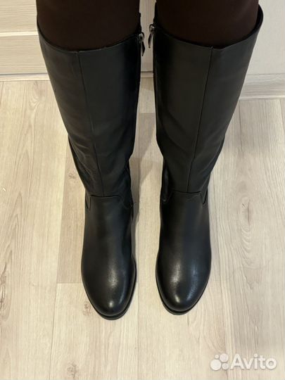 Сапоги женские