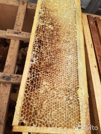 Рамки для ульев