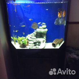 Продам (обменяю) аквариум