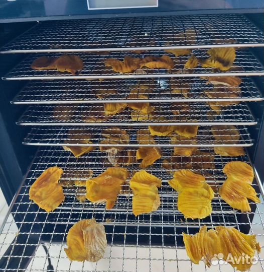 Плёнки от куринных желудков