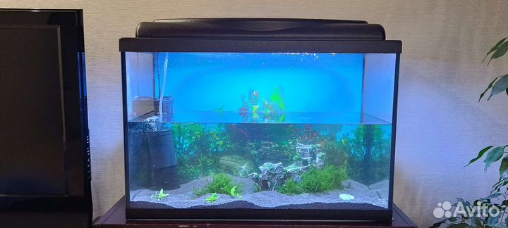 Аквариум +