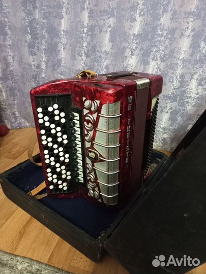 Баян weltmeister grandina