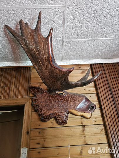 Продам рога лося