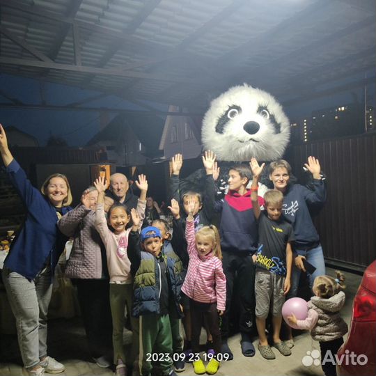 Панда поо Услуги аниматора