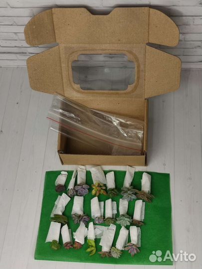 Набор для творчества