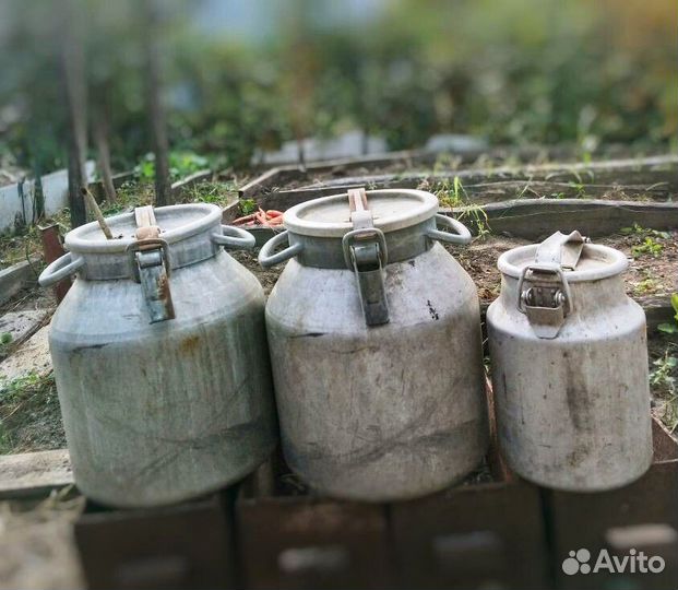 Фляги, бидон алюминиевые