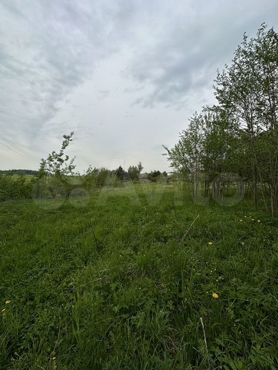 Участок 15 сот. (ИЖС)