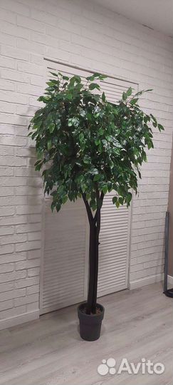 Искусственное дерево фикус