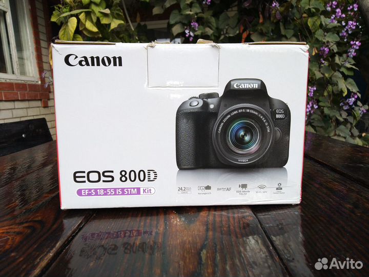 Фотоаппарат Canon eos 800d kit EF-S 18-55 IS STM