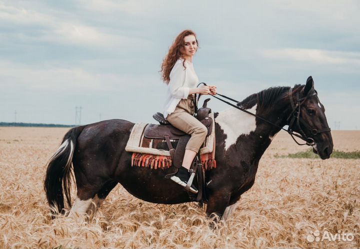 Фото с лошадьми, конная прогулка Краснодар