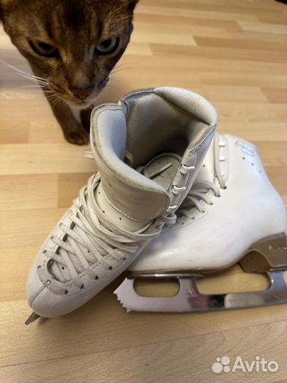 Фигурные коньки edea 23