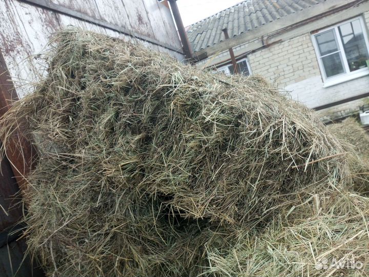 Сено в тюках