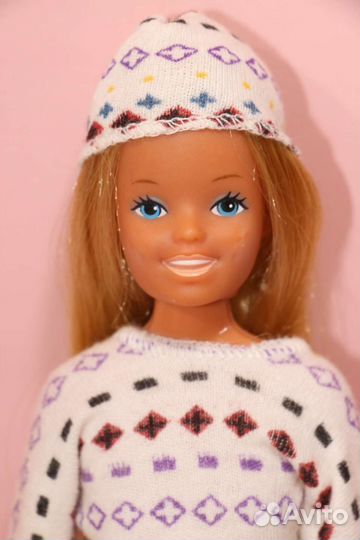 Tropical Skipper 1985