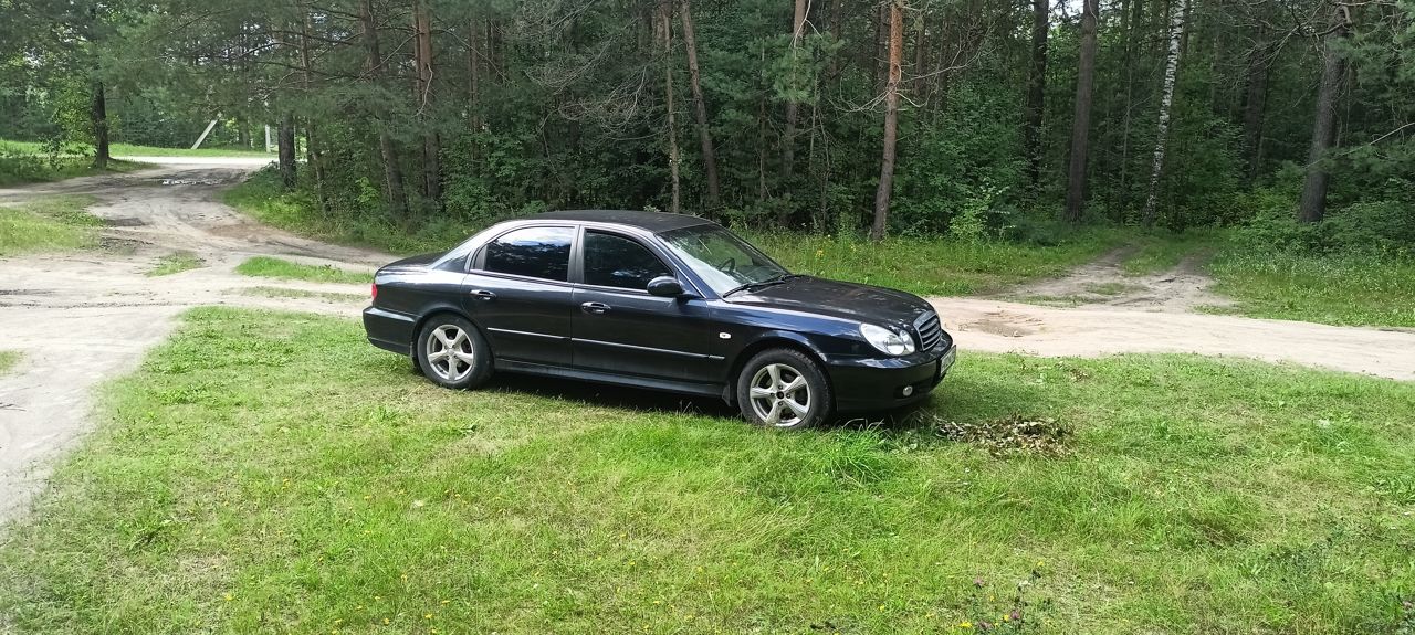 Hyundai Sonata: фото владельца