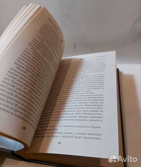 Сталкер от бога. Порог небытия. Луценко Д. Е