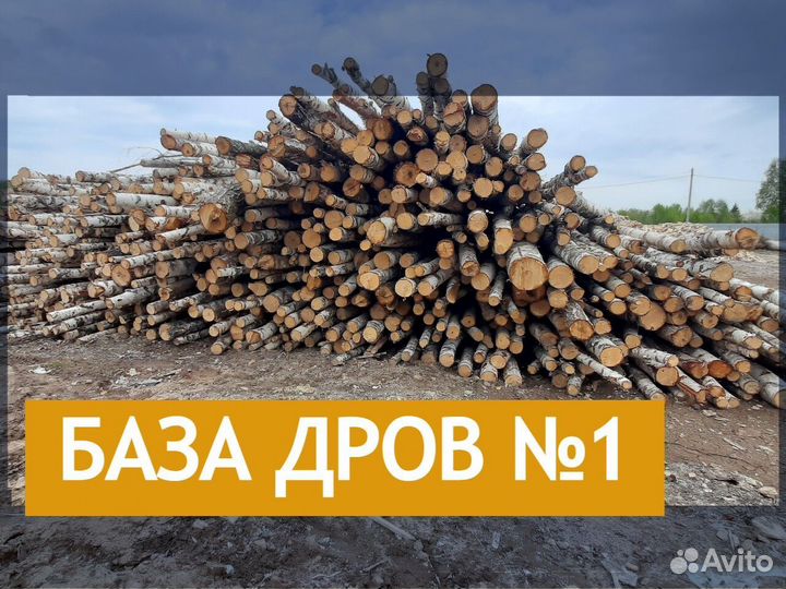 Дрова дуб