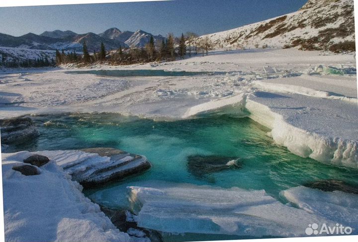 Путевка на Алтай зимой экспедиция 4-7 дней