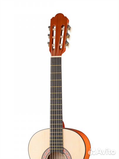 Гитары от 2.500 и Homage LC-3600 3/4 классическая