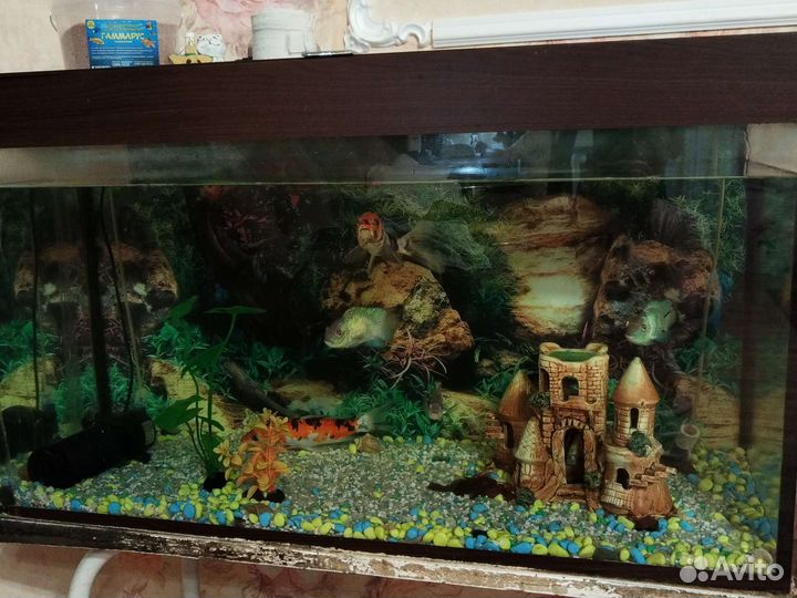 Аквариум