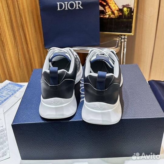 Кроссовки мужские Christian Dior
