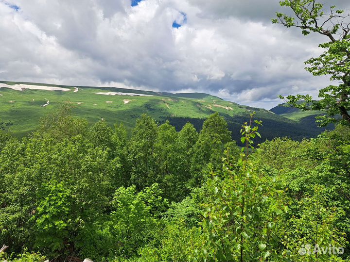 Сено луговое в тюках